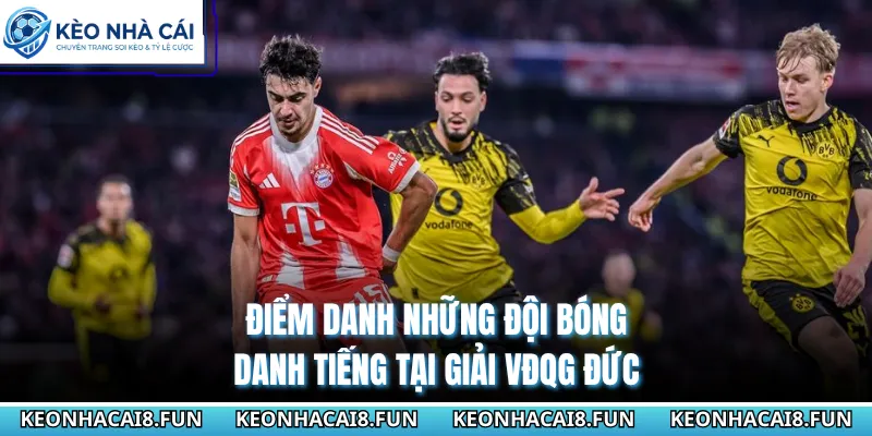Bundesliga 28 Điểm danh những đội bóng danh tiếng tại giải VĐQG Đức