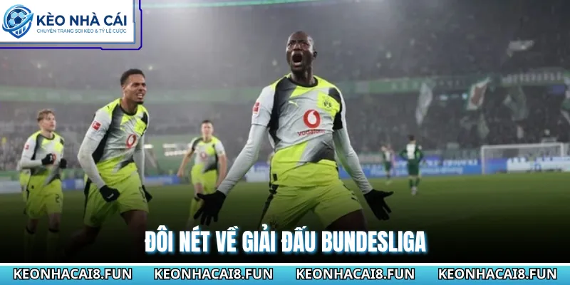 Bundesliga 27 Đôi nét về giải đấu Bundesliga