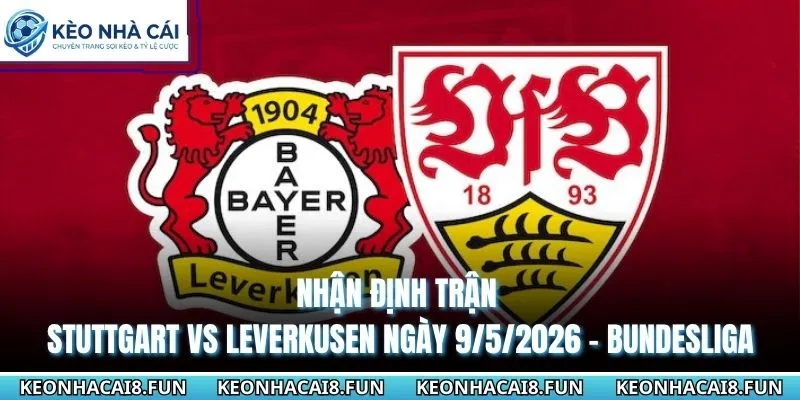 Nhận Định Trận Stuttgart Vs Leverkusen Ngày 9/5/2026 - Bundesliga 3 nhận định trận Stuttgart vs Leverkusen ngày 9/5/2026