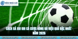 Cách Xả Xui Khi Cá Cược Bóng Đá Hiệu Quả Bậc Nhất Năm 2026 11 Cách xả xui khi cá cược bóng đá