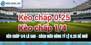 Kèo Chấp 1/4 Là Sao - Cách Hiểu Đúng Tỷ Lệ 0.25 Dễ Nhớ 6 Kèo chấp 1/4 là sao